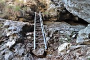 CORNA CAMOSCERA (COREN),1329 m, da Cavaglia di Val Brembilla il 14 gennaio 2019- FOTOGALLERY
